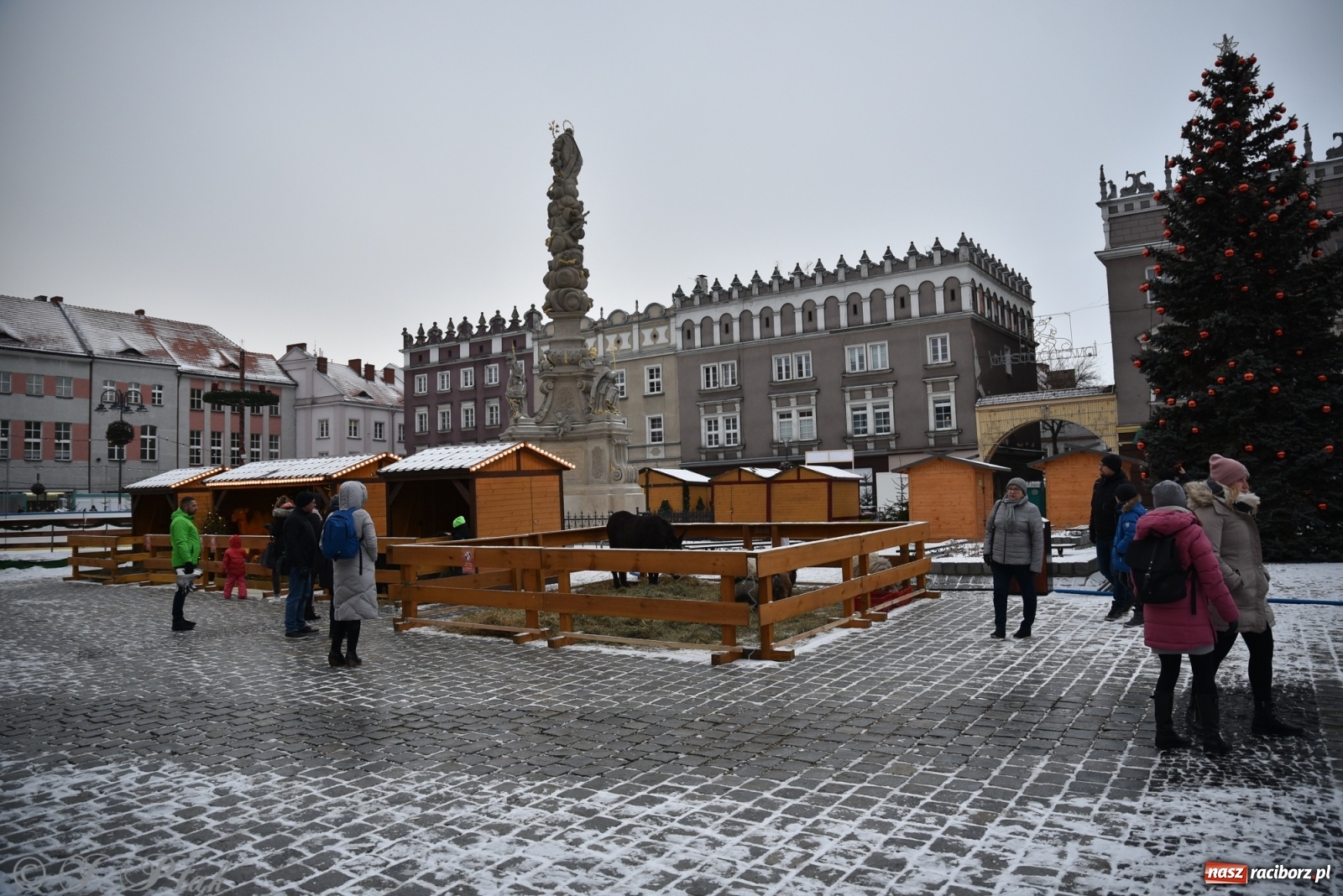 Zdjęcie w galerii na portalu naszraciborz.pl: Na raciborskim Rynku stanęła żywa szopka [FOTO] wiadomości z regionu