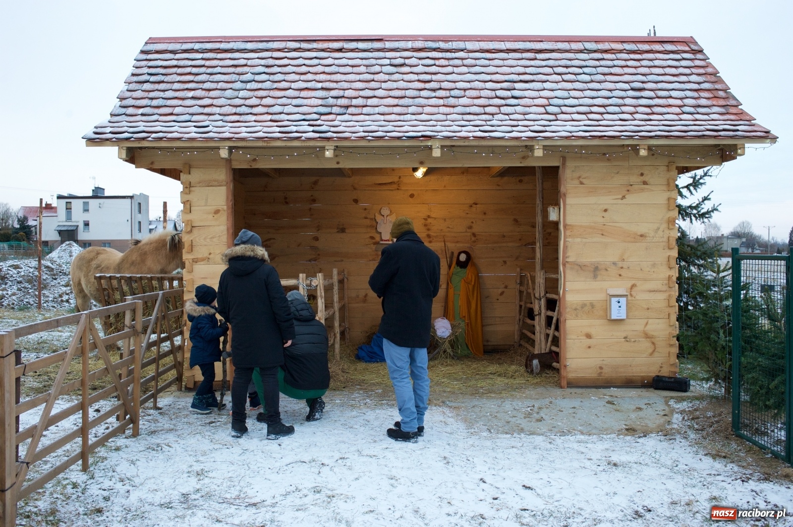 Zdjęcie w galerii na portalu naszraciborz.pl: Wyjątkowa żywa stajenka w Tworkowie [FOTO] wiadomości z regionu