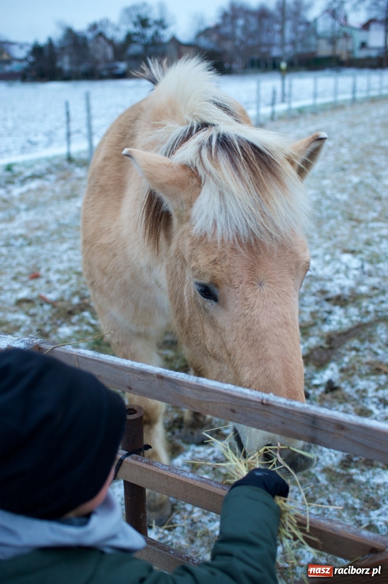 Zdjęcie w galerii na portalu naszraciborz.pl: Wyjątkowa żywa stajenka w Tworkowie [FOTO] wiadomości z regionu