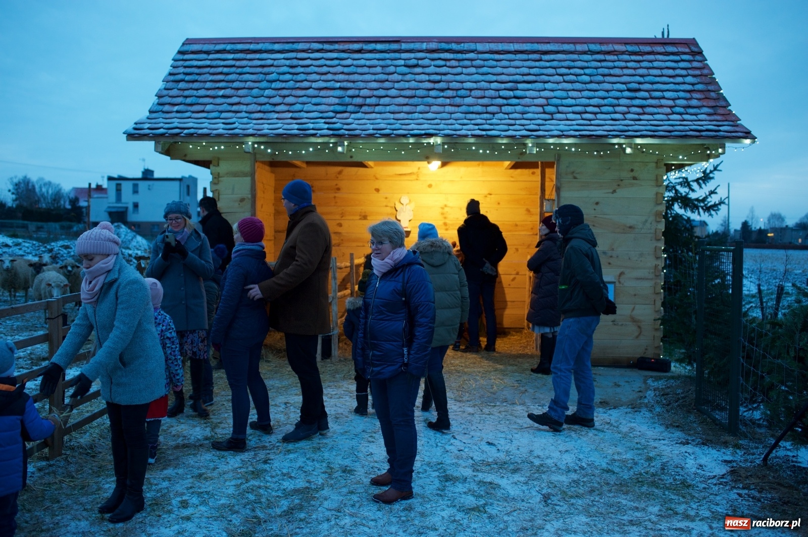 Zdjęcie w galerii na portalu naszraciborz.pl: Wyjątkowa żywa stajenka w Tworkowie [FOTO] wiadomości z regionu