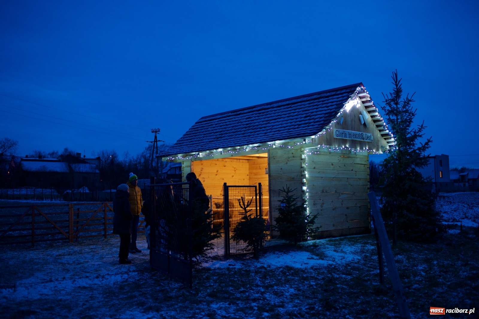 Zdjęcie w galerii na portalu naszraciborz.pl: Wyjątkowa żywa stajenka w Tworkowie [FOTO] wiadomości z regionu