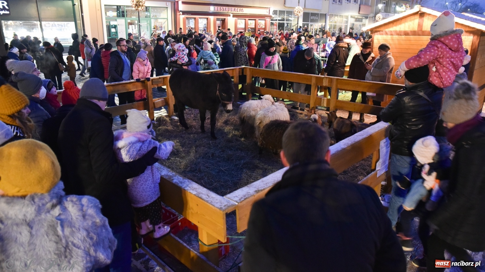 Zdjęcie w galerii na portalu naszraciborz.pl: Świąteczne kolędowanie na raciborskim Rynku [FOTO i WIDEO] wiadomości z regionu