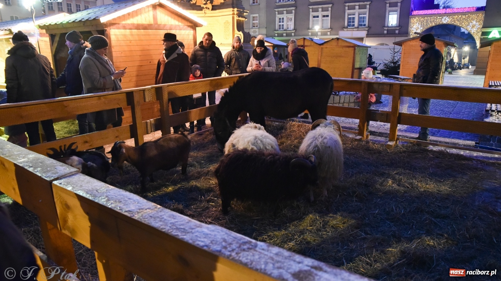 Zdjęcie w galerii na portalu naszraciborz.pl: Świąteczne kolędowanie na raciborskim Rynku [FOTO i WIDEO] wiadomości z regionu