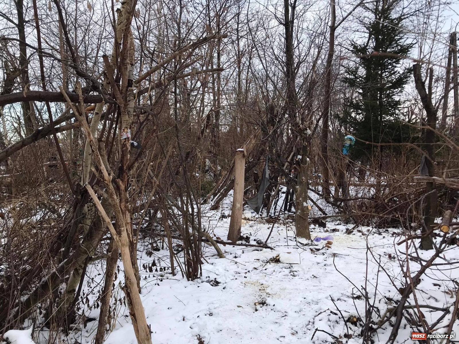 Zdjęcie w galerii na portalu naszraciborz.pl: Mężczyzna pod zawalonym stropem - strażacy ruszyli do akcji w Łańcach [FOTO] wiadomości z regionu
