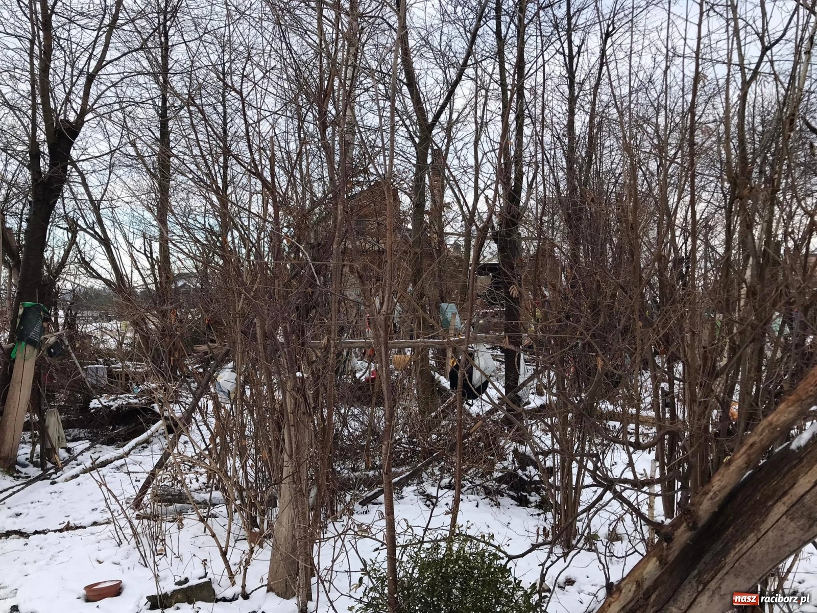 Zdjęcie w galerii na portalu naszraciborz.pl: Mężczyzna pod zawalonym stropem - strażacy ruszyli do akcji w Łańcach [FOTO] wiadomości z regionu