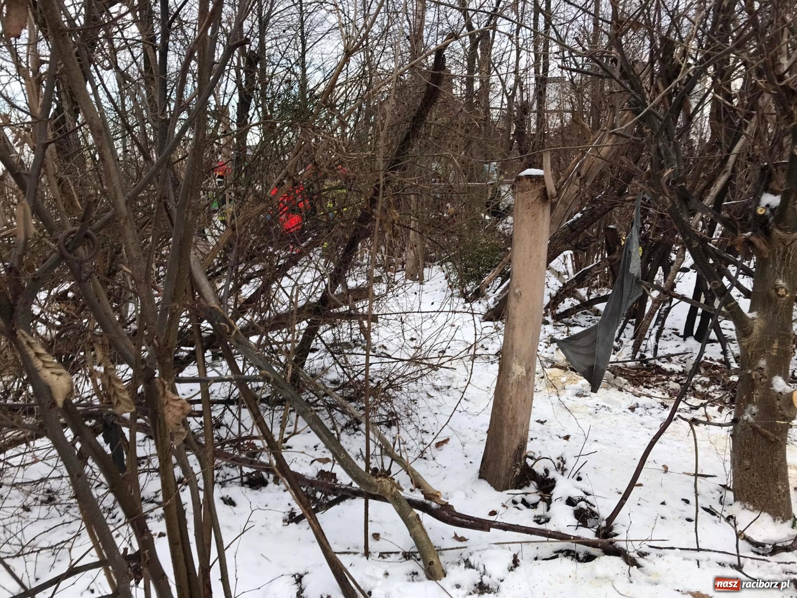 Zdjęcie w galerii na portalu naszraciborz.pl: Mężczyzna pod zawalonym stropem - strażacy ruszyli do akcji w Łańcach [FOTO] wiadomości z regionu