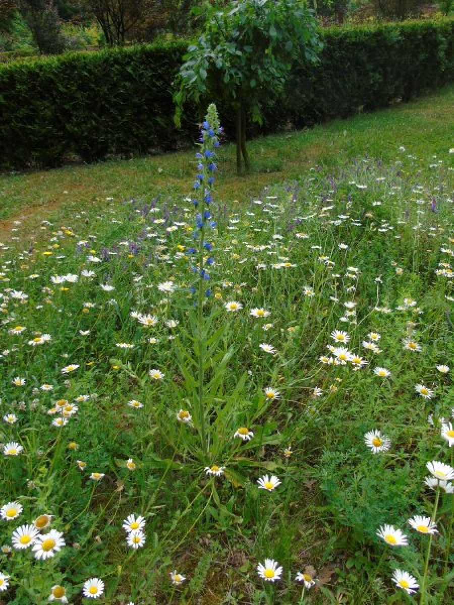 Zdjęcie w galerii na portalu naszraciborz.pl: Masz pomysł na Racibórz? Ruszyła Inicjatywa Lokalna wiadomości z regionu