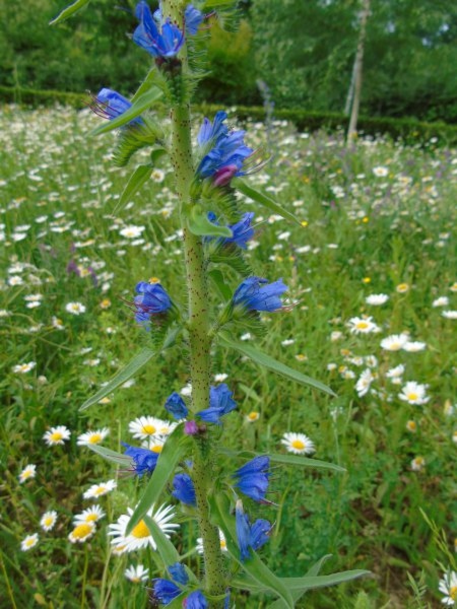 Zdjęcie w galerii na portalu naszraciborz.pl: Masz pomysł na Racibórz? Ruszyła Inicjatywa Lokalna wiadomości z regionu