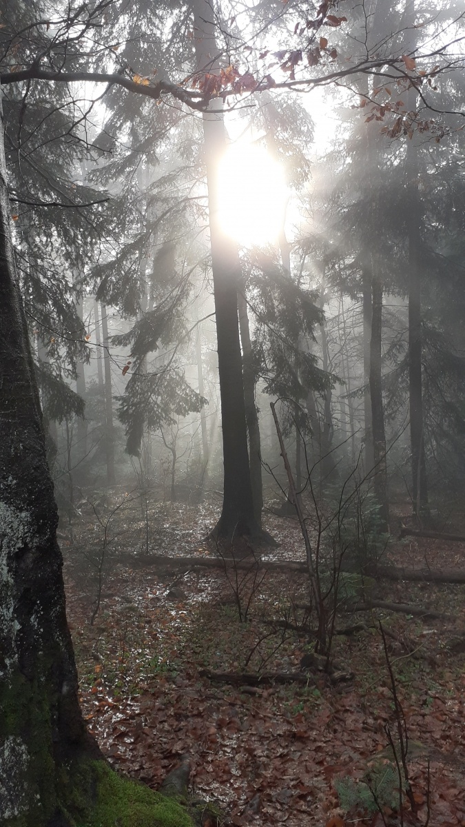 Zdjęcie w galerii na portalu naszraciborz.pl: Wędrowcy z PTTK Racibórz już po pierwszej górskiej wyprawie wiadomości z regionu