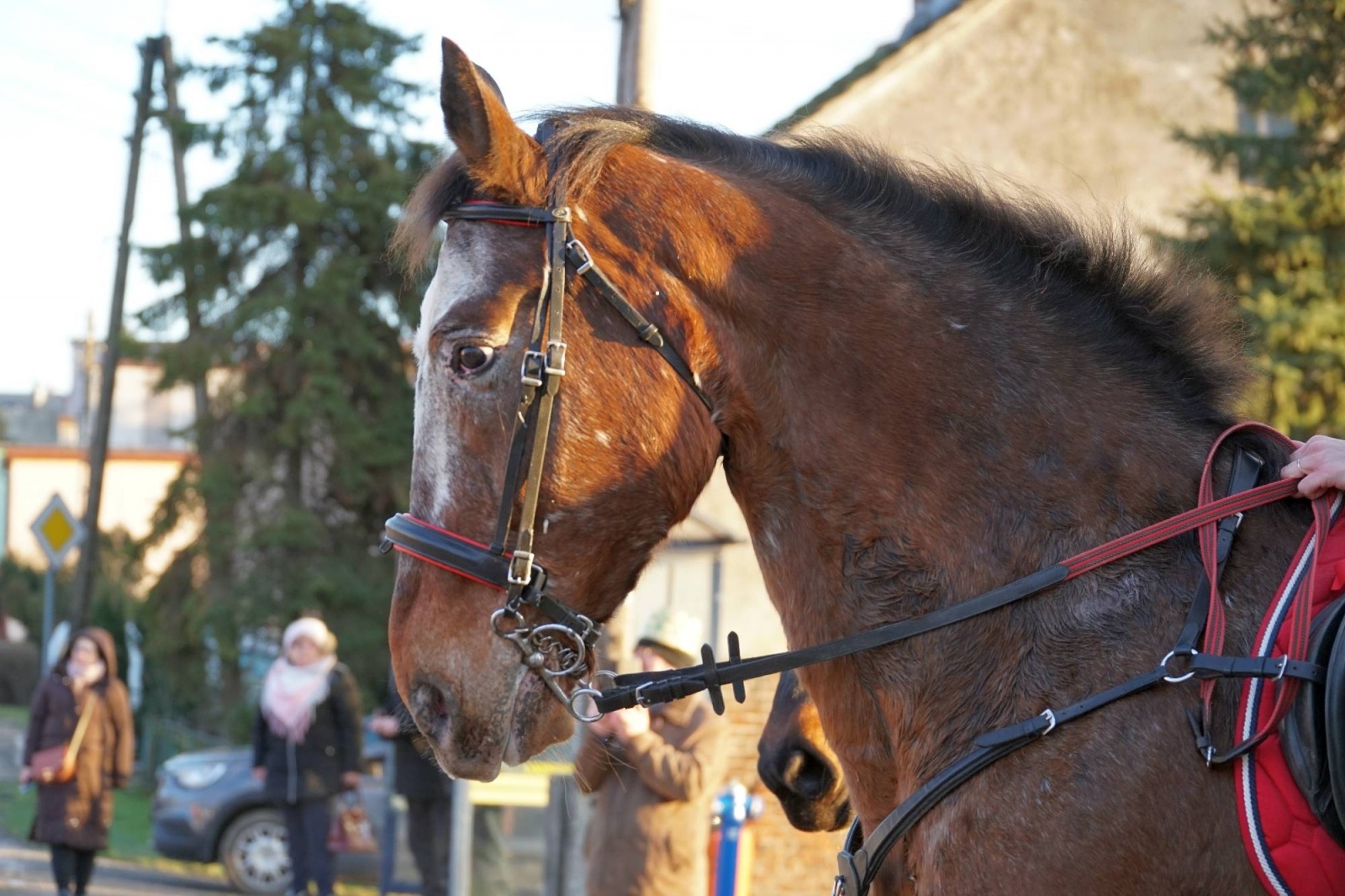Zdjęcie w galerii na portalu naszraciborz.pl: Szósty Orszak Trzech Króli w Gamowie [FOTO] wiadomości z regionu