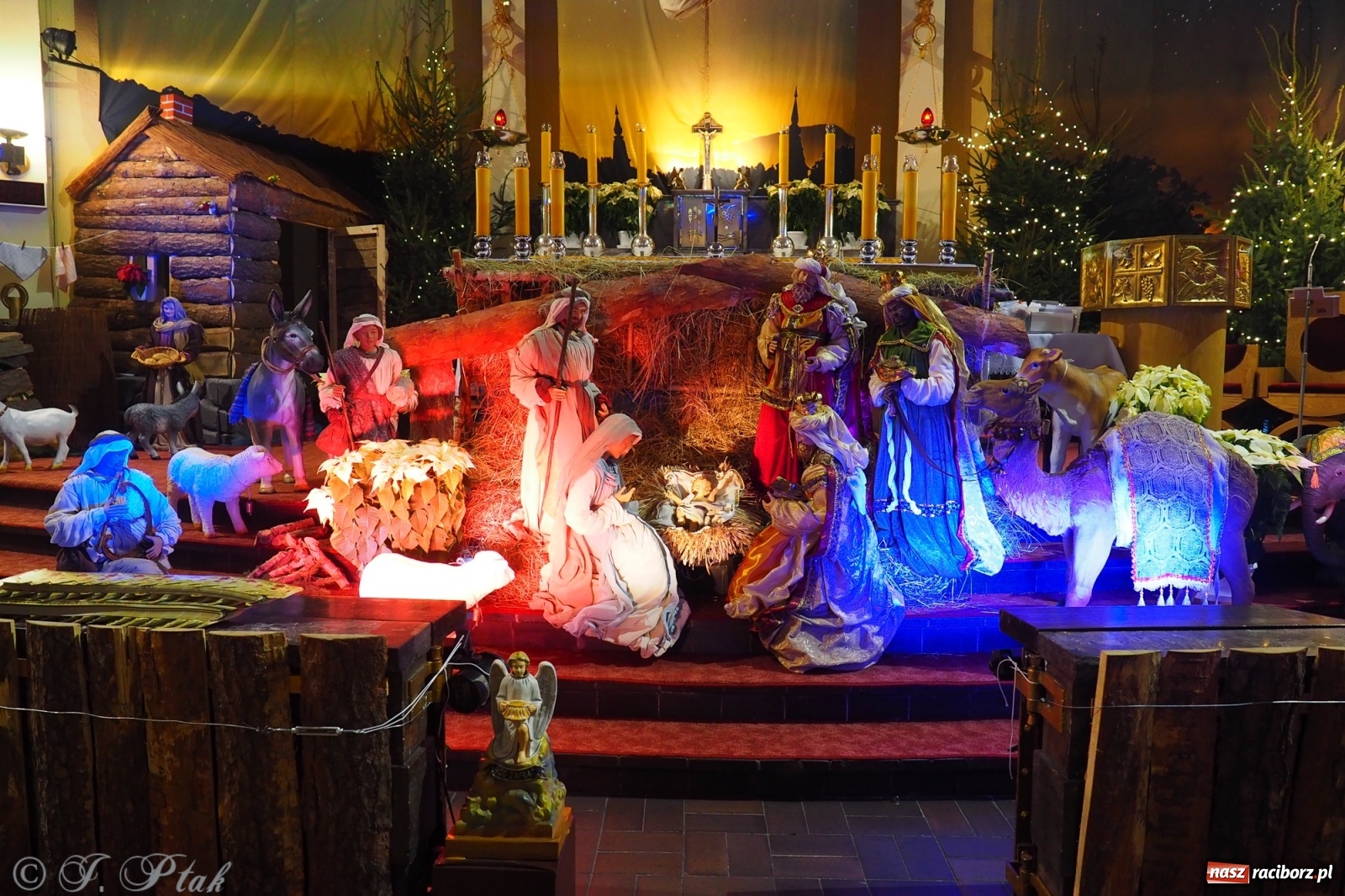 Zdjęcie w galerii na portalu naszraciborz.pl: Objawienie Pańskie, czyli radosne świętowanie w Raciborzu [FOTO] wiadomości z regionu