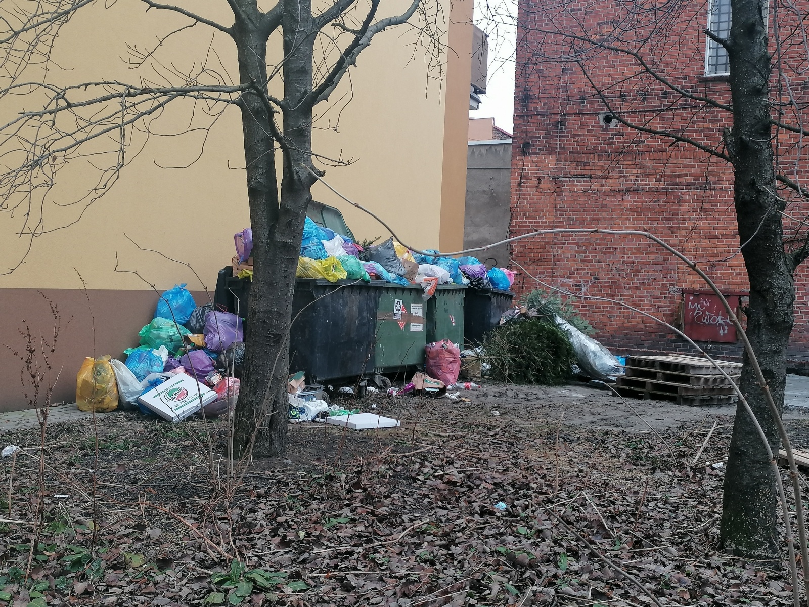 Zdjęcie w galerii na portalu naszraciborz.pl: Interwencja. Mieszkanka się skarży, PK wyjaśnia wiadomości z regionu