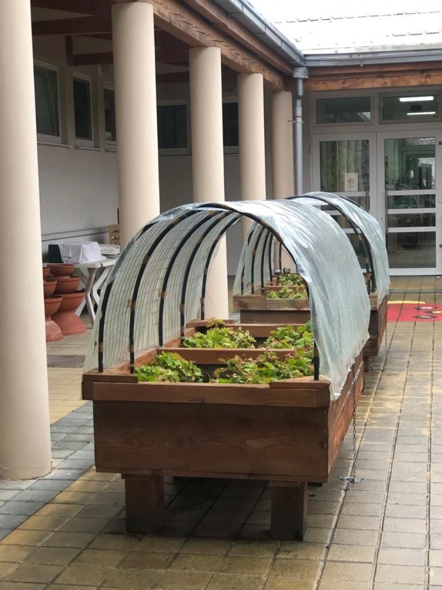 Zdjęcie w galerii na portalu naszraciborz.pl: Erasmus+. Nauczycielki Zespołu Szkół Specjalnych w Chorwacji wiadomości z regionu