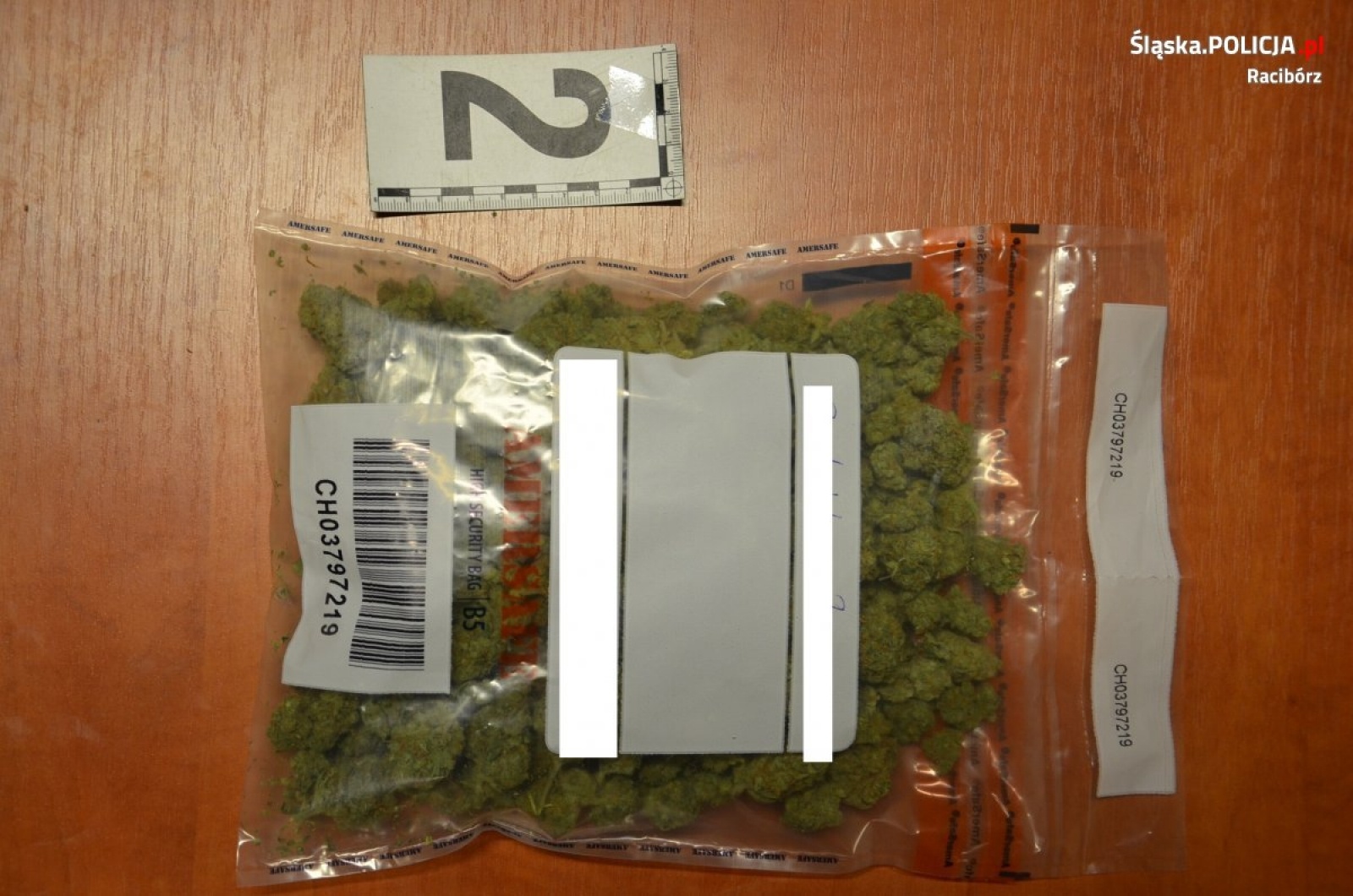 Zdjęcie w galerii na portalu naszraciborz.pl: Znaczna ilość marihuany nie trafi na raciborskie ulice [FOTO] wiadomości z regionu