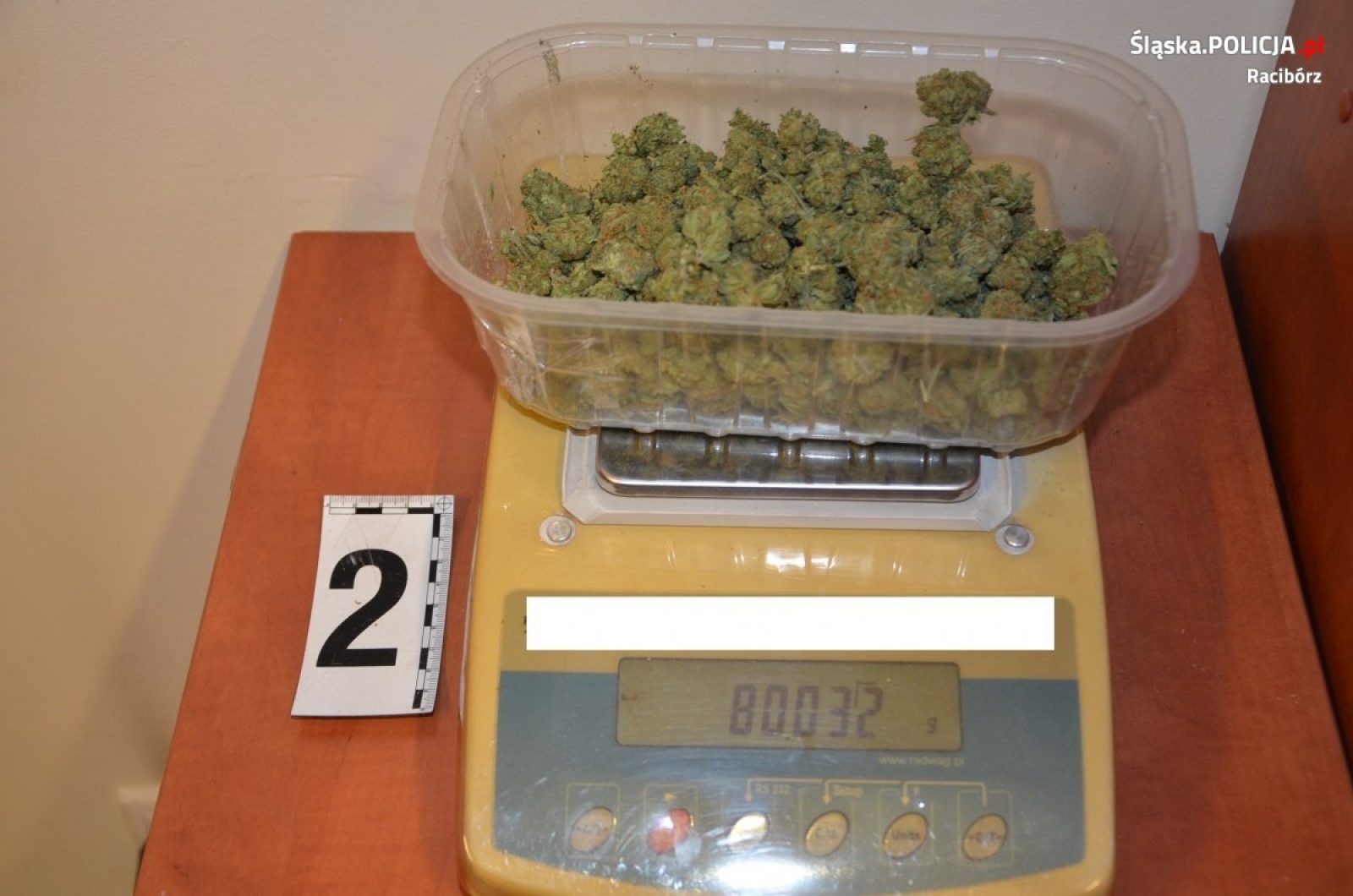Zdjęcie w galerii na portalu naszraciborz.pl: Znaczna ilość marihuany nie trafi na raciborskie ulice [FOTO] wiadomości z regionu