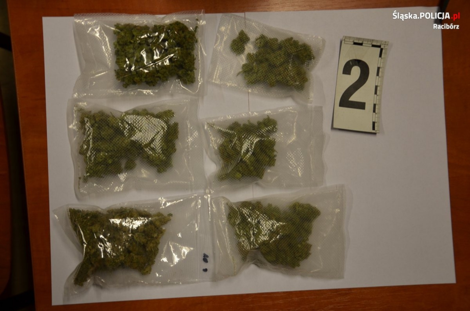 Zdjęcie w galerii na portalu naszraciborz.pl: Znaczna ilość marihuany nie trafi na raciborskie ulice [FOTO] wiadomości z regionu