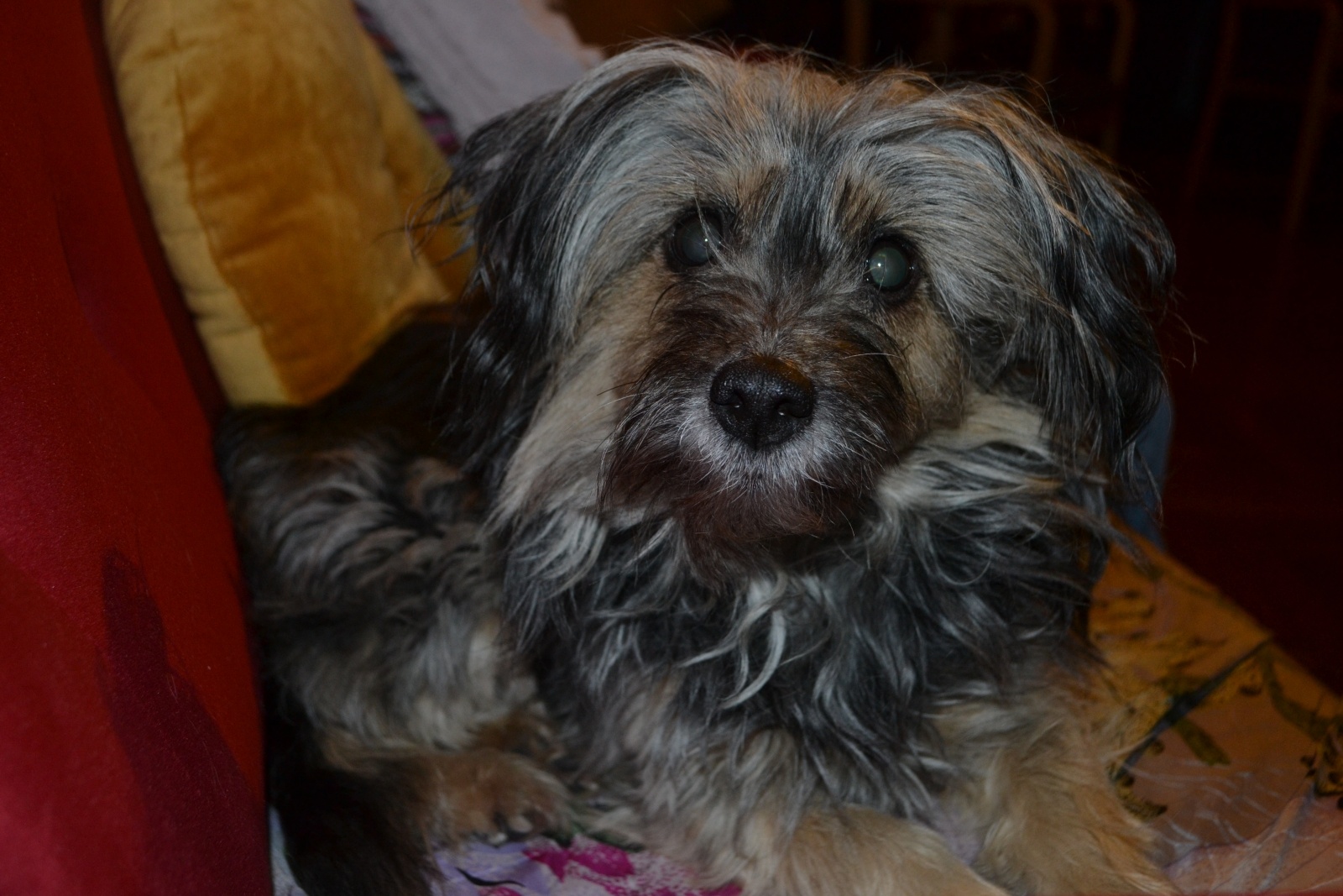 Zdjęcie w galerii na portalu naszraciborz.pl: Rejs wyschniętą rzeką. Grzegorz Pinior gościem cyklu W Punkt wiadomości z regionu