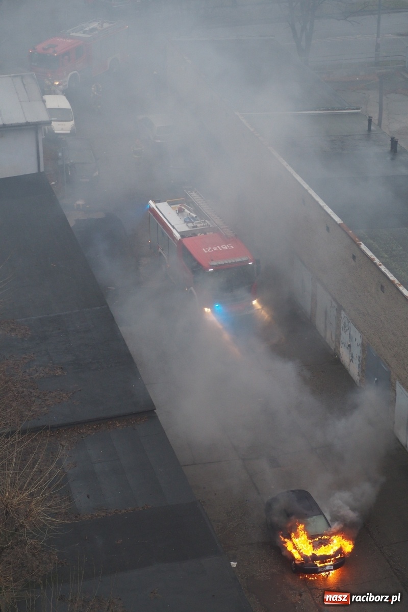 Zdjęcie w galerii na portalu naszraciborz.pl: Fiesta w płomieniach na Katowickiej [FOTO] wiadomości z regionu