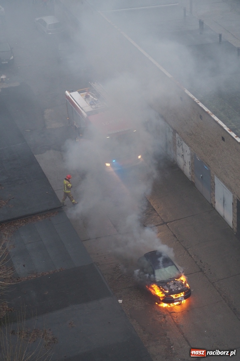 Zdjęcie w galerii na portalu naszraciborz.pl: Fiesta w płomieniach na Katowickiej [FOTO] wiadomości z regionu