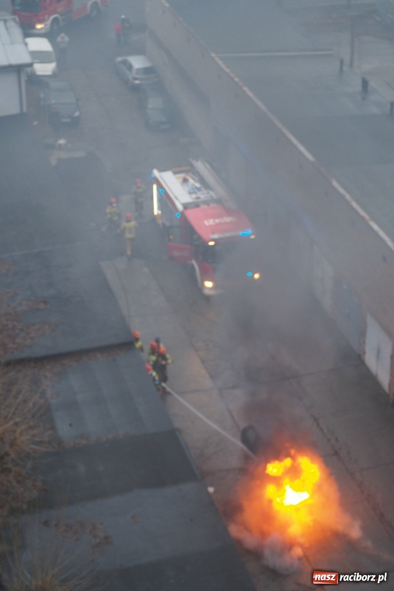 Zdjęcie w galerii na portalu naszraciborz.pl: Fiesta w płomieniach na Katowickiej [FOTO] wiadomości z regionu