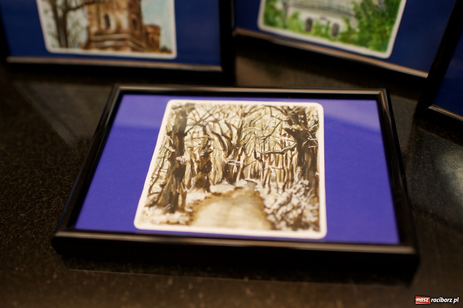 Zdjęcie w galerii na portalu naszraciborz.pl: 30. finał WOŚP w tworkowskim studiu Luiza wiadomości z regionu