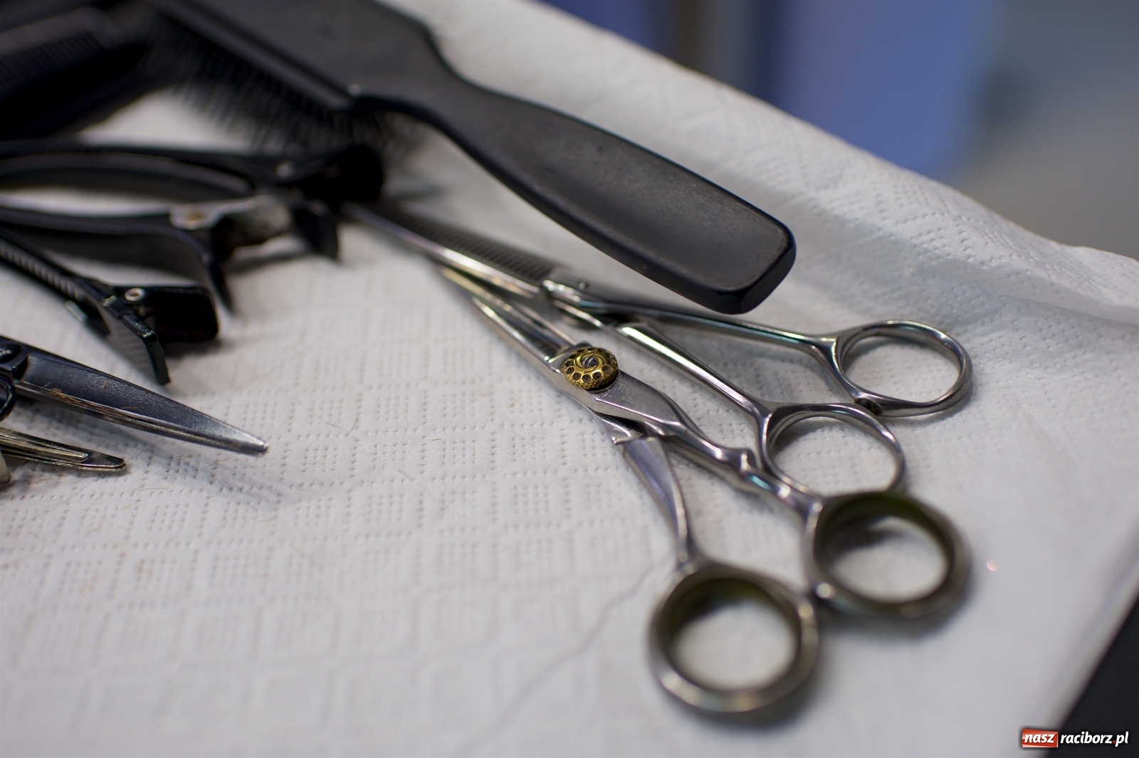 Zdjęcie w galerii na portalu naszraciborz.pl: 30. finał WOŚP w tworkowskim studiu Luiza wiadomości z regionu