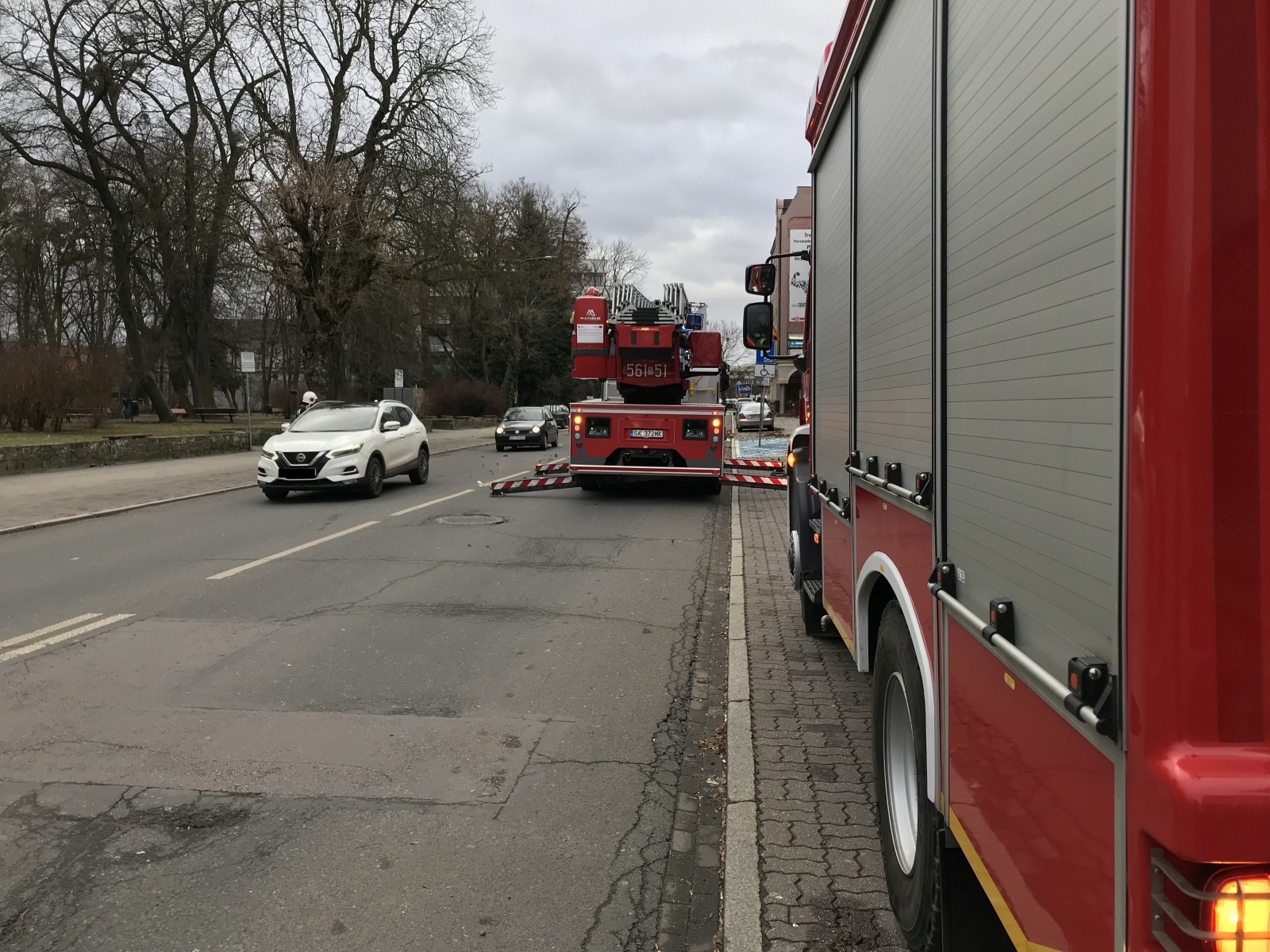 Zdjęcie w galerii na portalu naszraciborz.pl: Nadia pokazuje siłę. Drzewo runęło na peugeota w Rzuchowie wiadomości z regionu