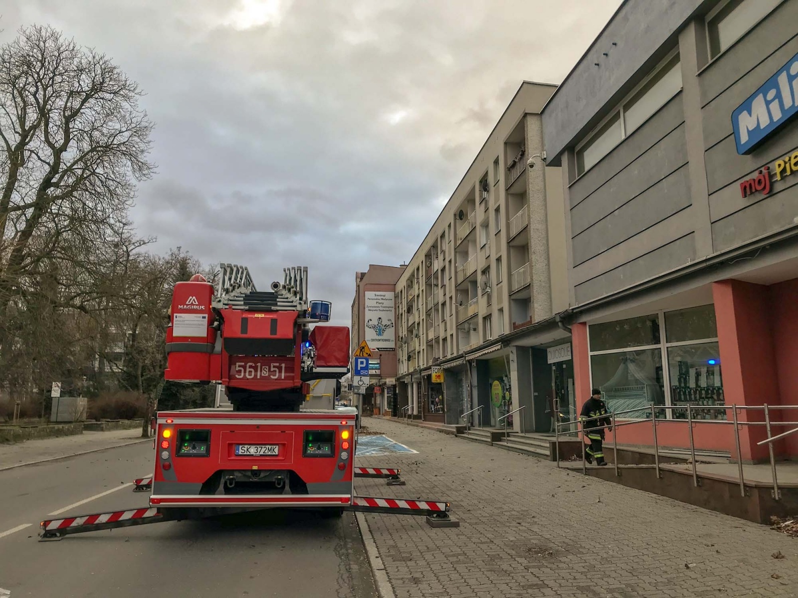 Zdjęcie w galerii na portalu naszraciborz.pl: Nadia pokazuje siłę. Drzewo runęło na peugeota w Rzuchowie wiadomości z regionu