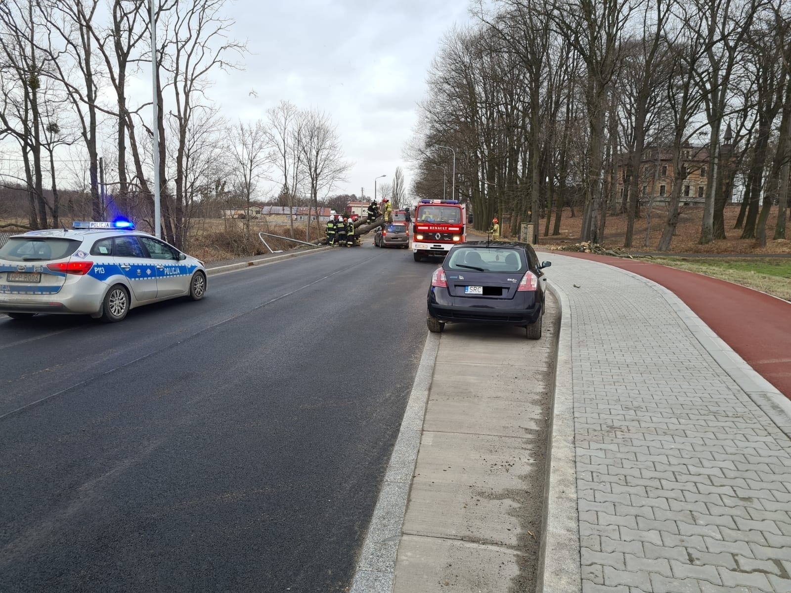 Zdjęcie w galerii na portalu naszraciborz.pl: Nadia pokazuje siłę. Drzewo runęło na peugeota w Rzuchowie wiadomości z regionu
