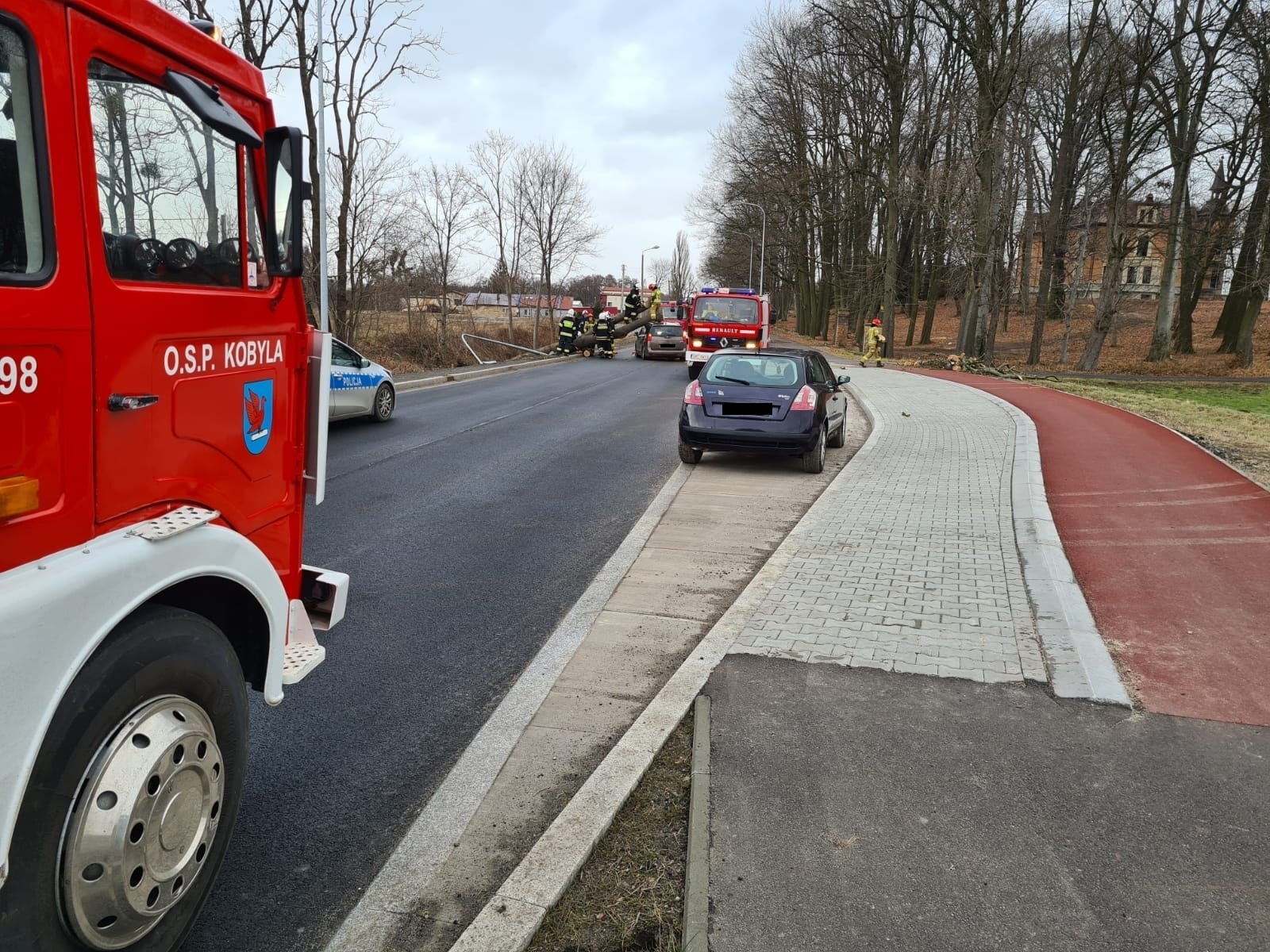 Zdjęcie w galerii na portalu naszraciborz.pl: Nadia pokazuje siłę. Drzewo runęło na peugeota w Rzuchowie wiadomości z regionu