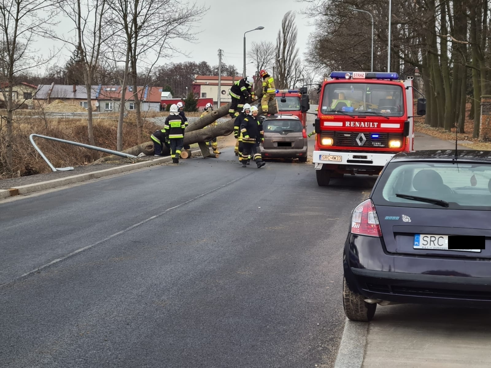 Zdjęcie w galerii na portalu naszraciborz.pl: Nadia pokazuje siłę. Drzewo runęło na peugeota w Rzuchowie wiadomości z regionu