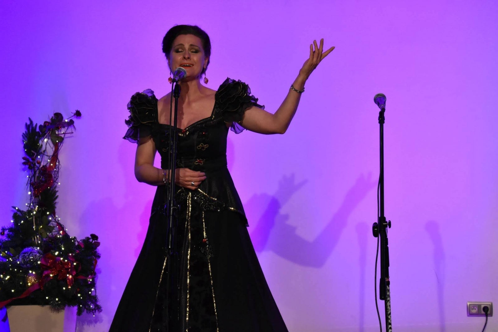 Zdjęcie w galerii na portalu naszraciborz.pl: Operetkowe szlagiery i nie tylko zabrzmiały na zamku wiadomości z regionu