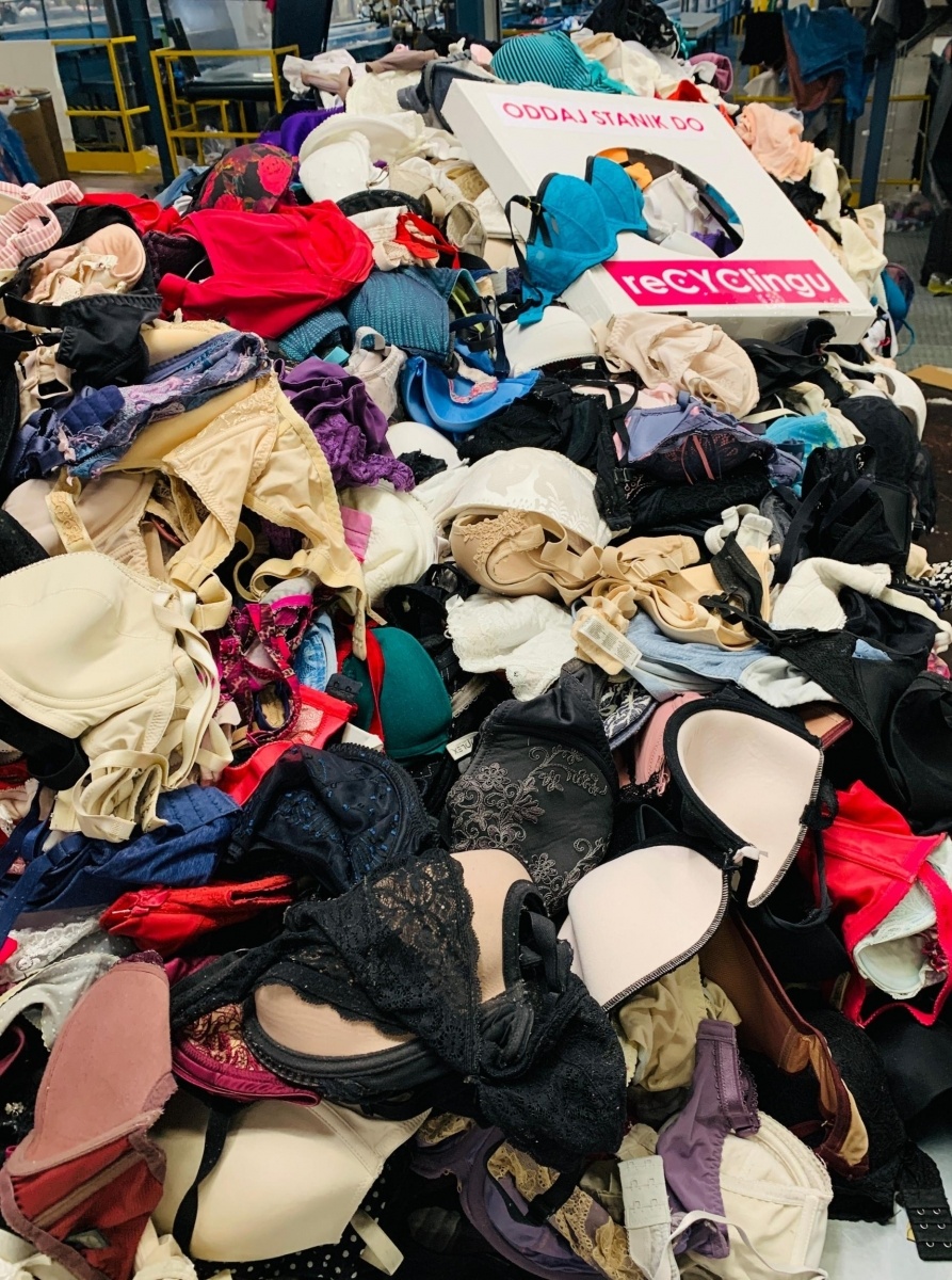 Zdjęcie w galerii na portalu naszraciborz.pl: Padł nowy rekord. Ponad 3400 biustonoszy zebranych w reCYClingu w województwie śląskim wiadomości z regionu