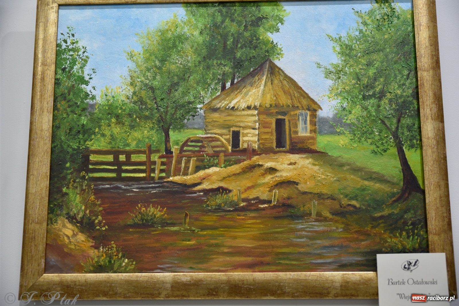 Zdjęcie w galerii na portalu naszraciborz.pl: Nie prosimy o litość. Sztuka artystów malujących ustami i nogami pokazana w Raciborzu wiadomości z regionu