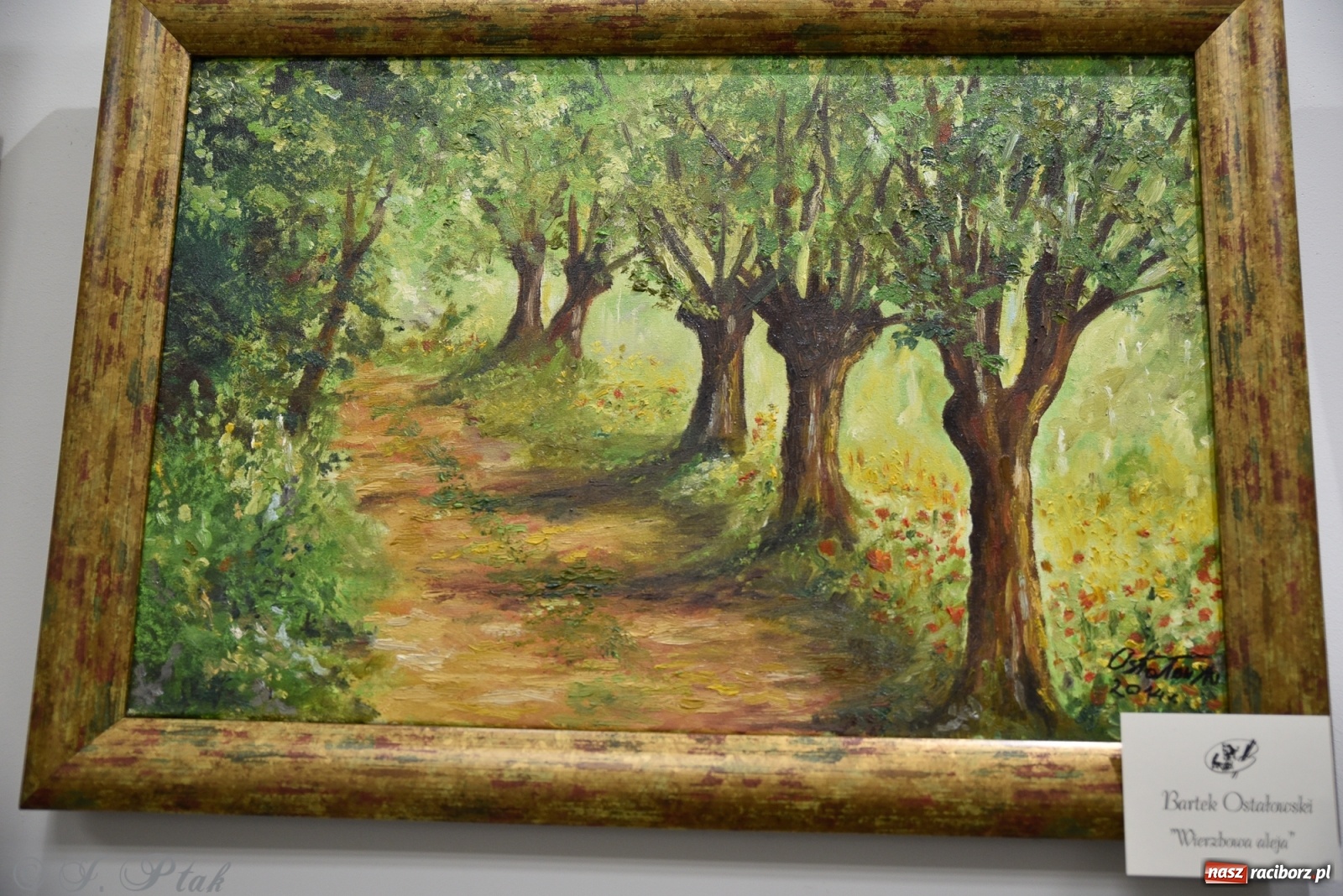 Zdjęcie w galerii na portalu naszraciborz.pl: Nie prosimy o litość. Sztuka artystów malujących ustami i nogami pokazana w Raciborzu wiadomości z regionu