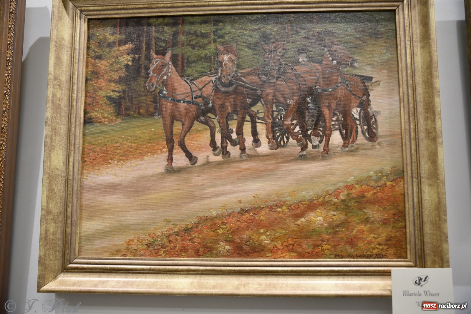 Zdjęcie w galerii na portalu naszraciborz.pl: Nie prosimy o litość. Sztuka artystów malujących ustami i nogami pokazana w Raciborzu wiadomości z regionu