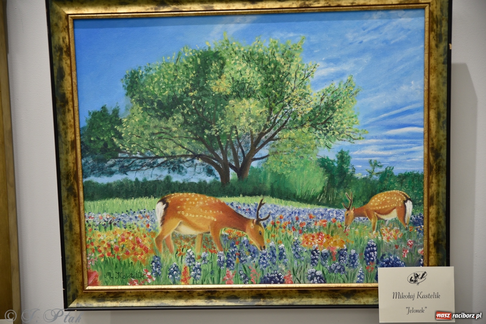 Zdjęcie w galerii na portalu naszraciborz.pl: Nie prosimy o litość. Sztuka artystów malujących ustami i nogami pokazana w Raciborzu wiadomości z regionu