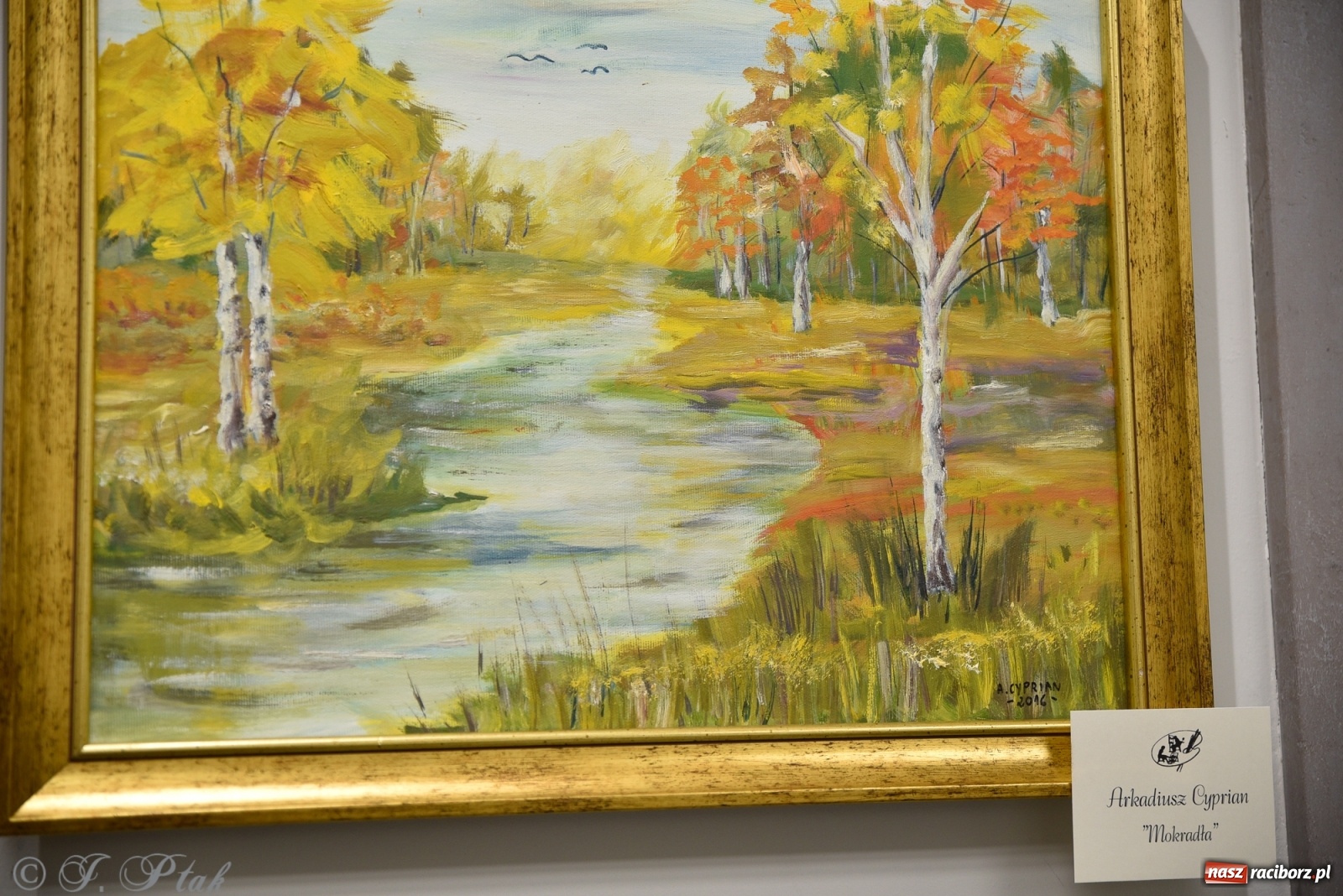 Zdjęcie w galerii na portalu naszraciborz.pl: Nie prosimy o litość. Sztuka artystów malujących ustami i nogami pokazana w Raciborzu wiadomości z regionu