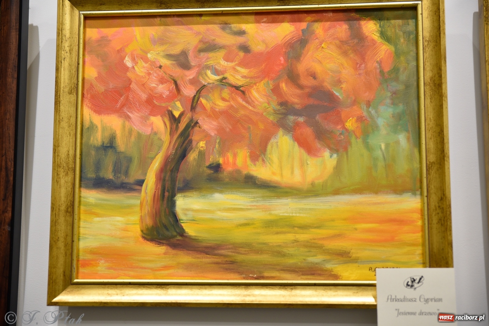 Zdjęcie w galerii na portalu naszraciborz.pl: Nie prosimy o litość. Sztuka artystów malujących ustami i nogami pokazana w Raciborzu wiadomości z regionu