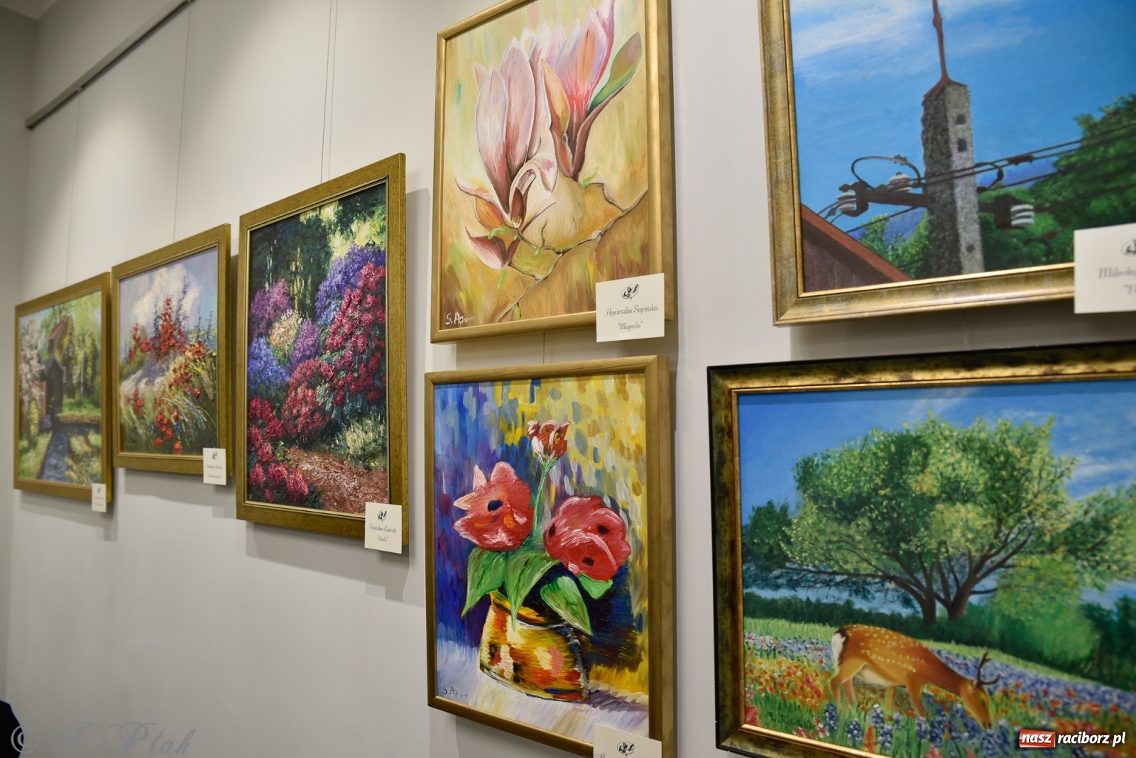 Zdjęcie w galerii na portalu naszraciborz.pl: Nie prosimy o litość. Sztuka artystów malujących ustami i nogami pokazana w Raciborzu wiadomości z regionu