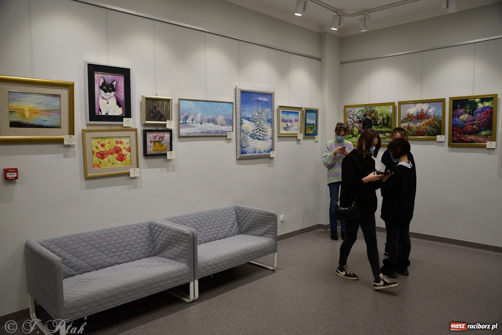 Zdjęcie w galerii na portalu naszraciborz.pl: Nie prosimy o litość. Sztuka artystów malujących ustami i nogami pokazana w Raciborzu wiadomości z regionu