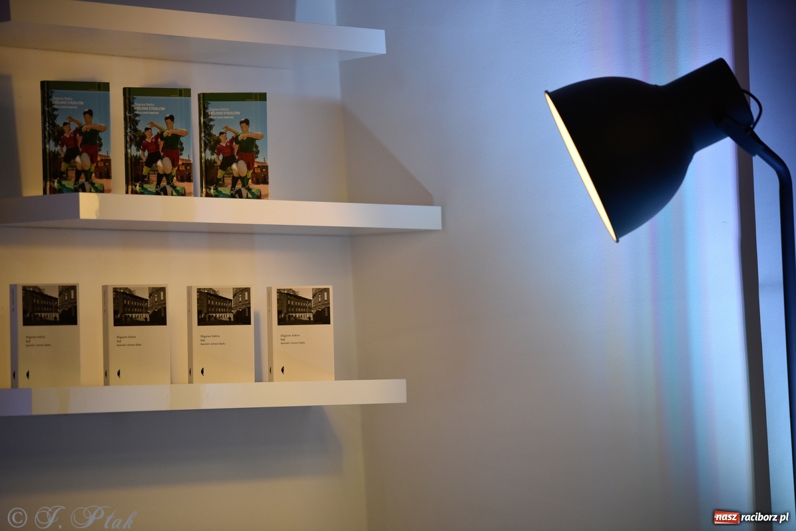 Zdjęcie w galerii na portalu naszraciborz.pl: Kajś, czyli Rokita w Raciborzu wiadomości z regionu