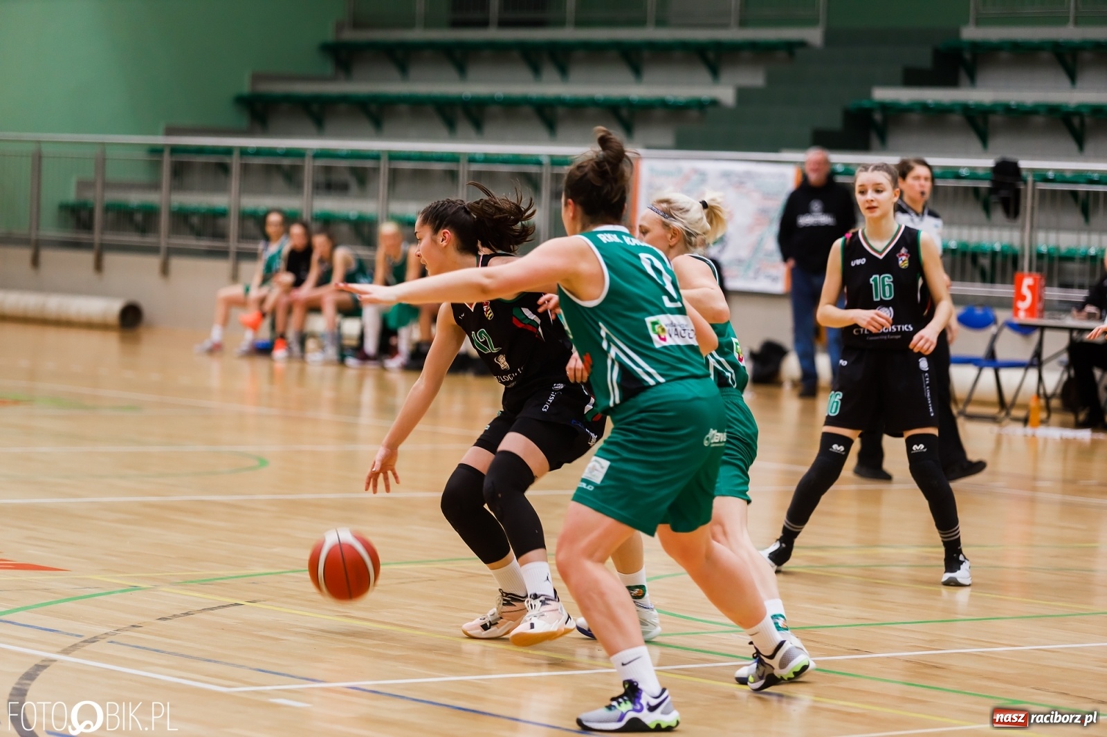 Zdjęcie w galerii na portalu naszraciborz.pl: Do pięciu razy sztuka. RKK AZS pokonał Zagłębie Sosnowiec [FOTO i WIDEO] wiadomości z regionu