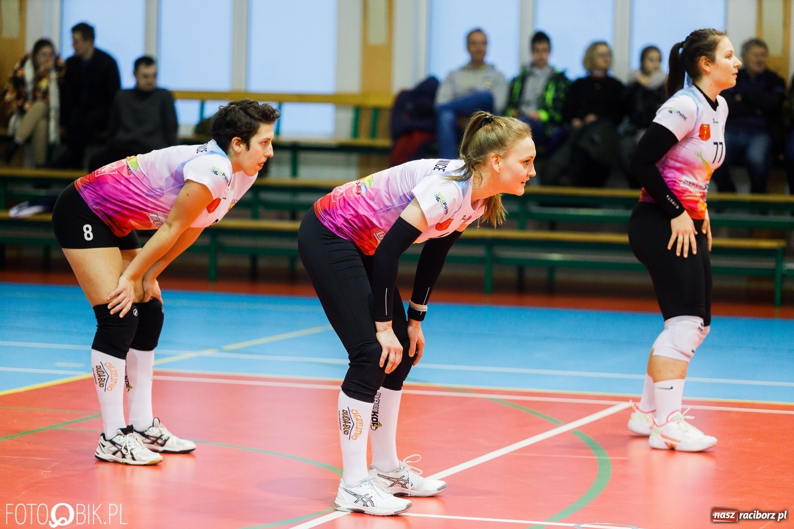 Zdjęcie w galerii na portalu naszraciborz.pl: Siatkarki Krzanowic znów zwycięskie. Częstochowa pokonana! [FOTO i WIDEO] wiadomości z regionu