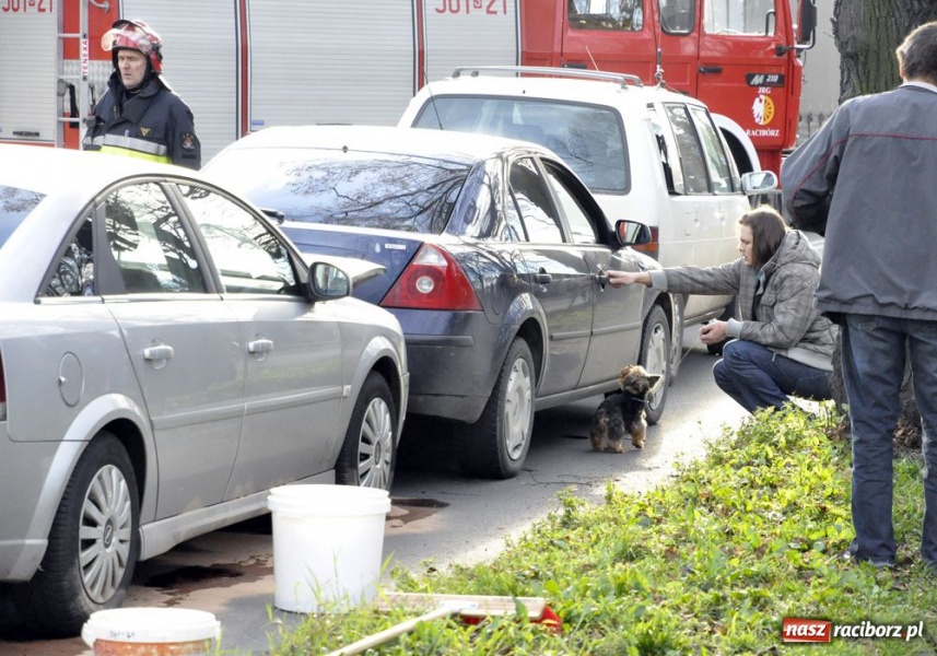 Zdjęcie w galerii na portalu naszraciborz.pl: Zderzenie trzech aut na Kolejowej wiadomości z regionu