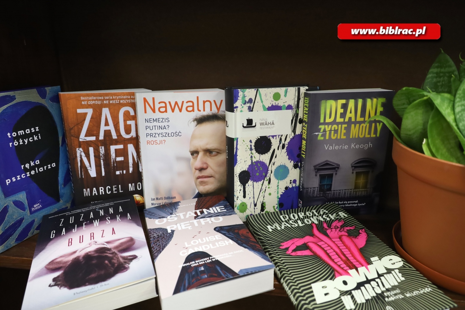 Zdjęcie w galerii na portalu naszraciborz.pl: Książkowe nowości na bibliotecznych półkach wiadomości z regionu