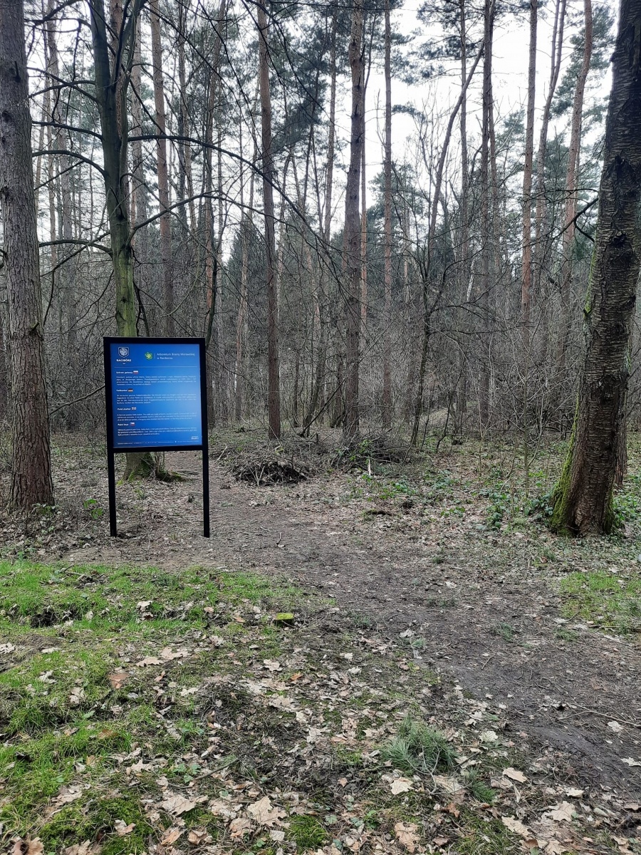 Zdjęcie w galerii na portalu naszraciborz.pl: Pamiątki militarne przy lesie Obora oznakowane wiadomości z regionu