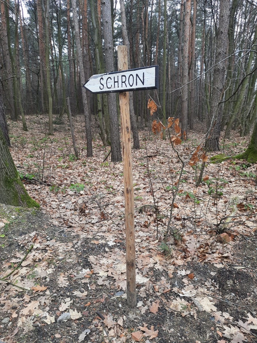 Zdjęcie w galerii na portalu naszraciborz.pl: Pamiątki militarne przy lesie Obora oznakowane wiadomości z regionu