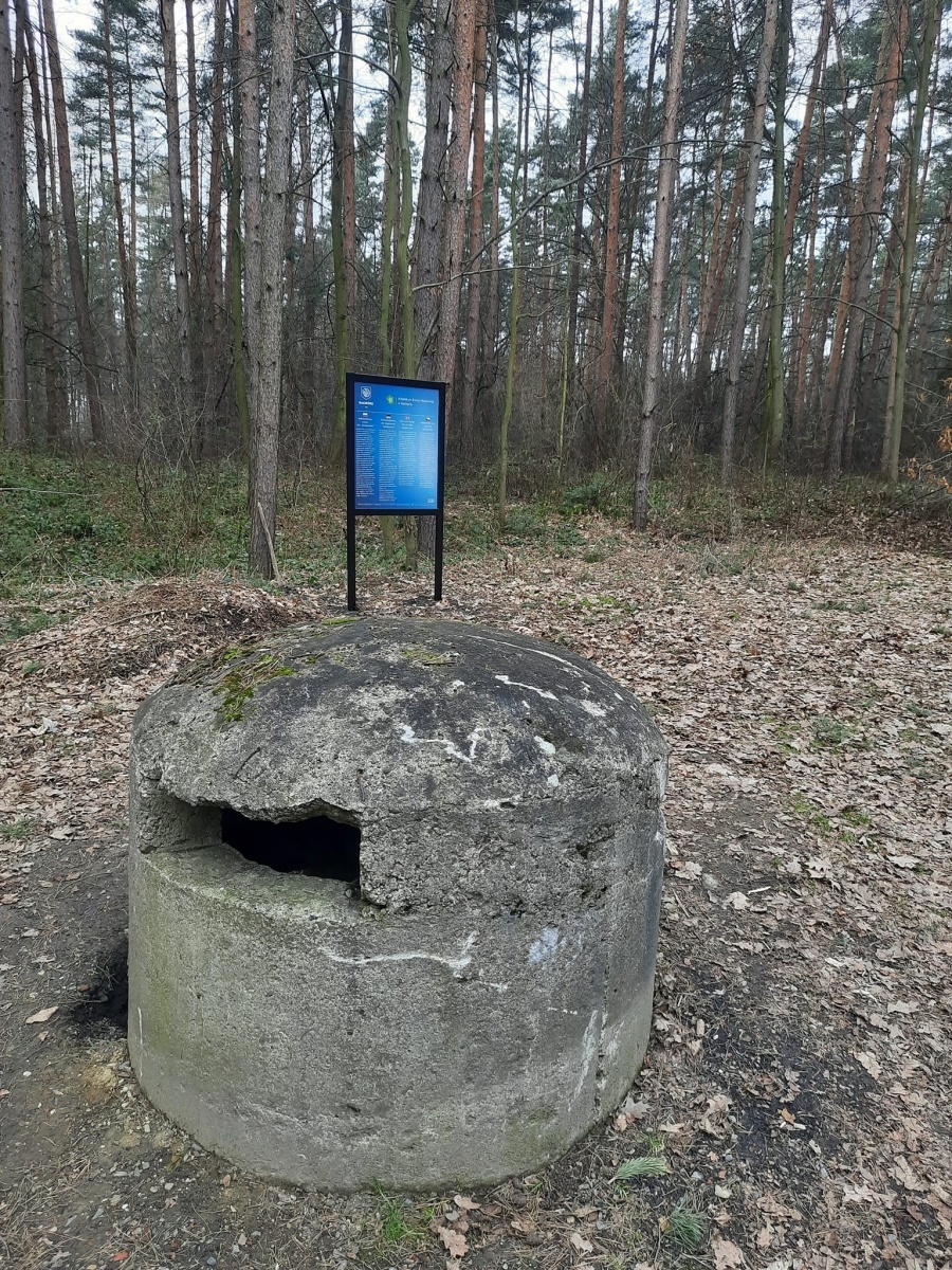 Zdjęcie w galerii na portalu naszraciborz.pl: Pamiątki militarne przy lesie Obora oznakowane wiadomości z regionu