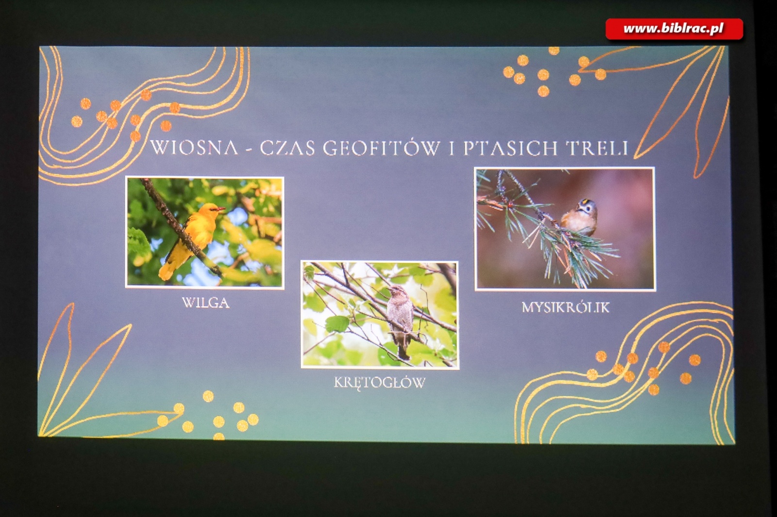 Zdjęcie w galerii na portalu naszraciborz.pl: O Arboretum w bibliotece wiadomości z regionu